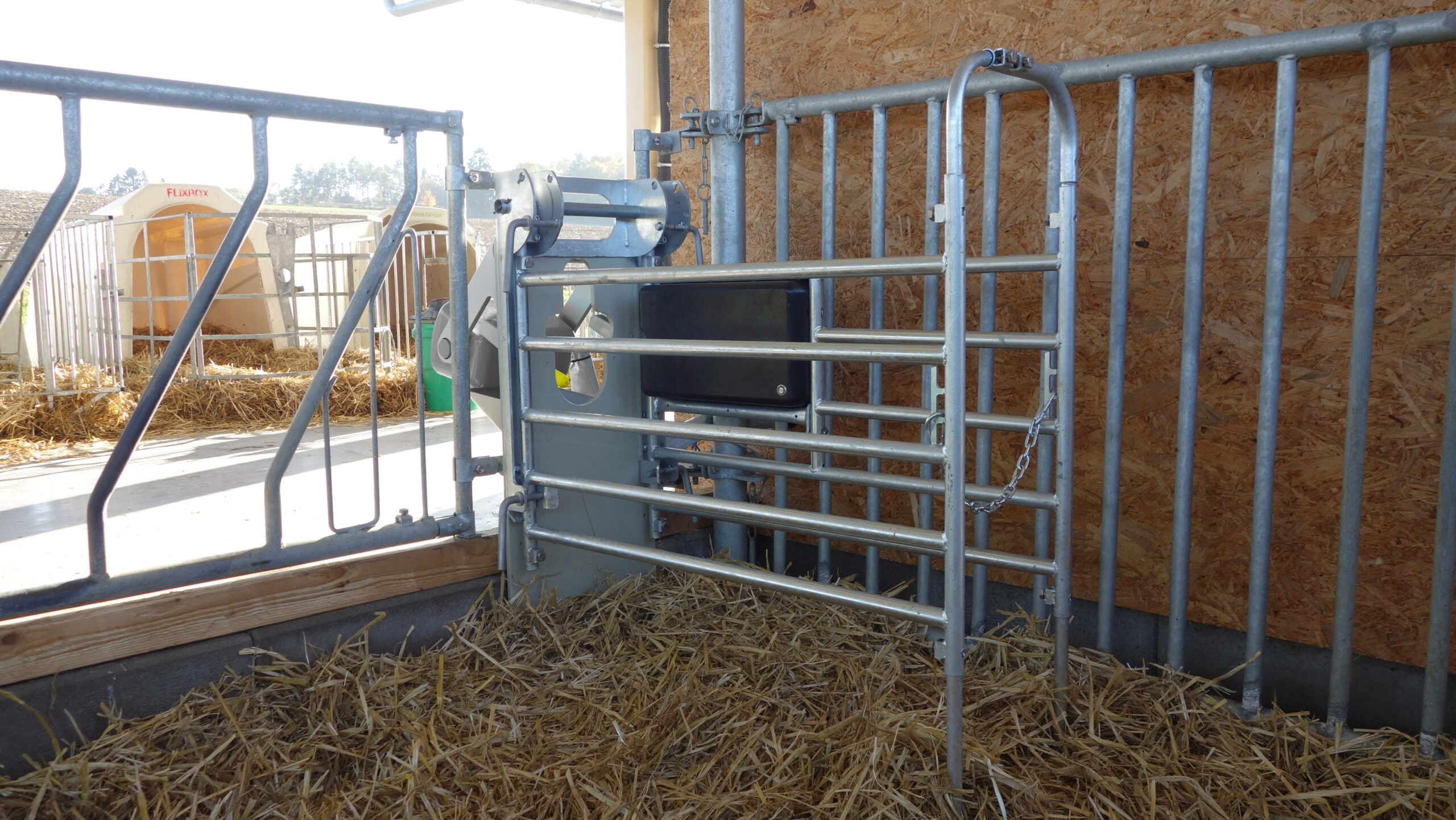 MaxiFlex feeding station: Provides calves with a protected area for feeding, flexibly adaptable to all breeds, calf sizes, and site conditions."