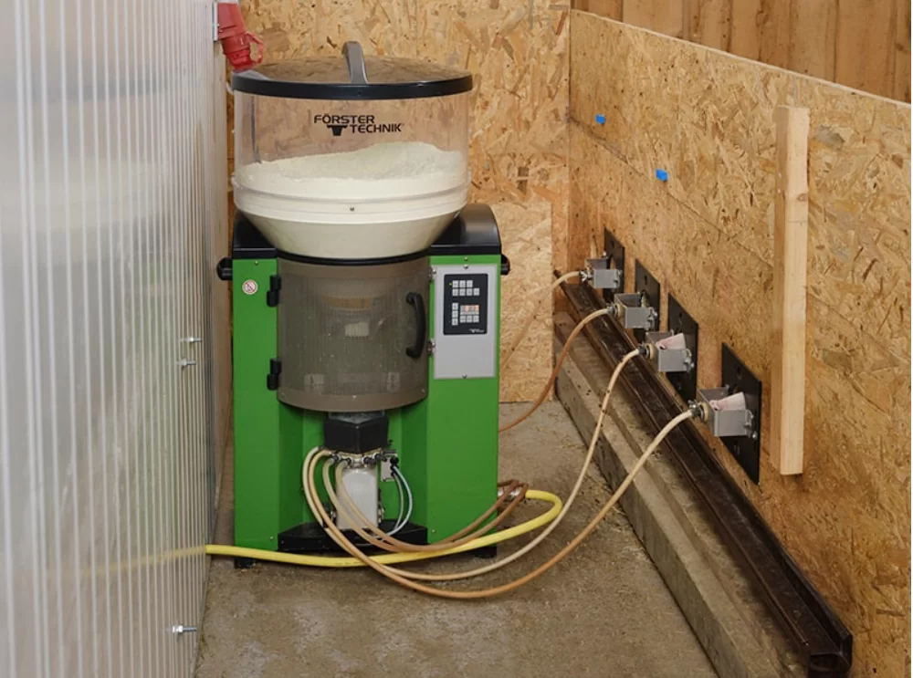 Lamb feeder automatic from Förster-Technik – Automatic and hygienic feeding system for lambs.