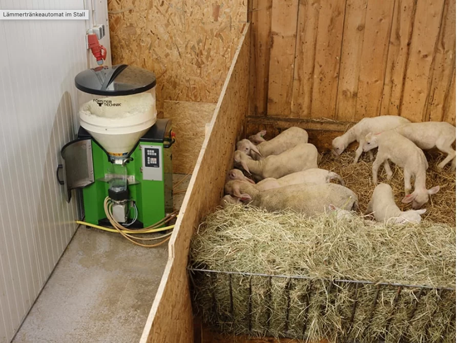 Lamb feeder automatic from Förster-Technik – Freshly prepared feeding with optimal temperature around the clock, easy operation, and practical portion counter.