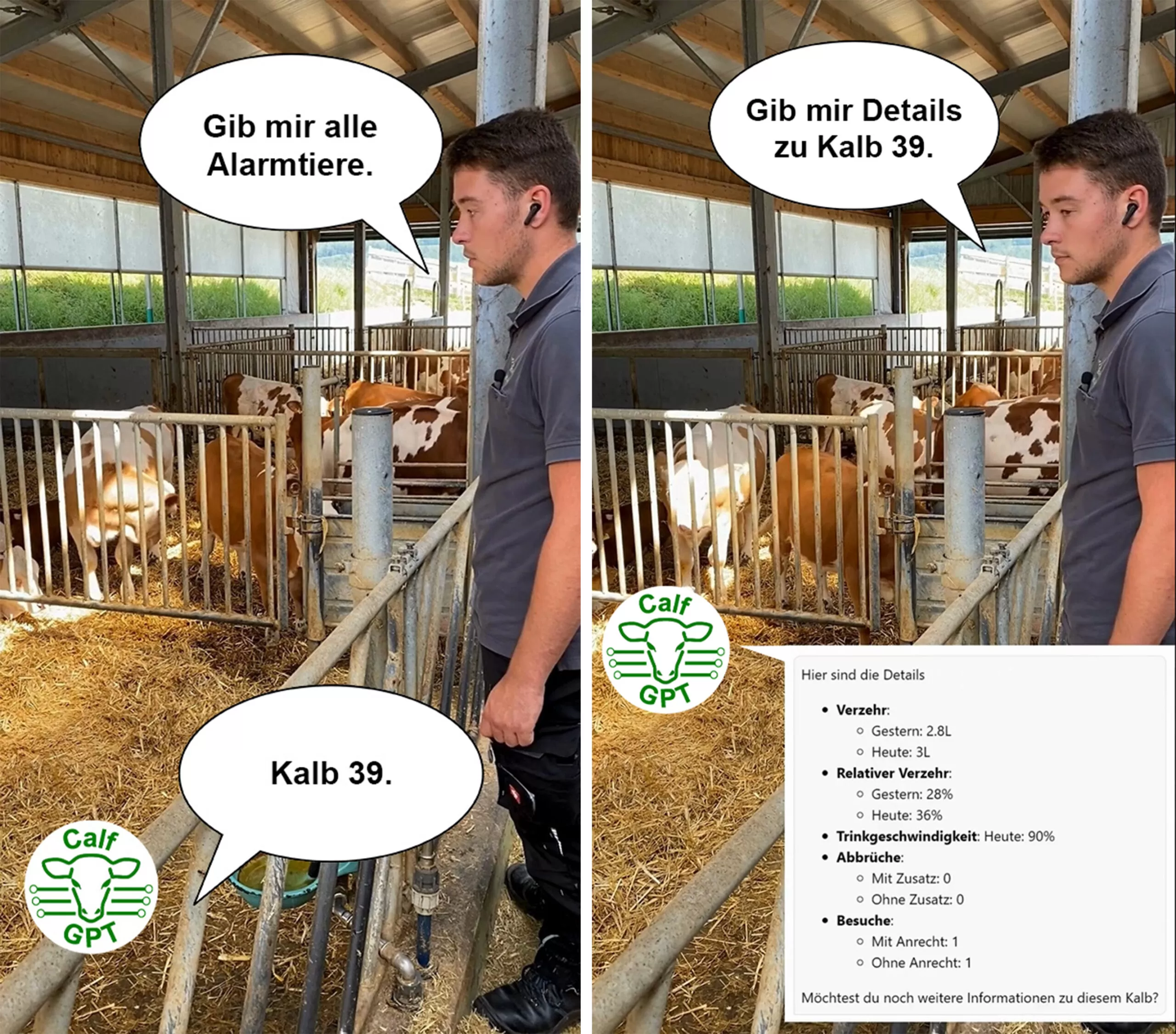 CalfGPT__Smartphone_Sprache_Alarm_Kalb39